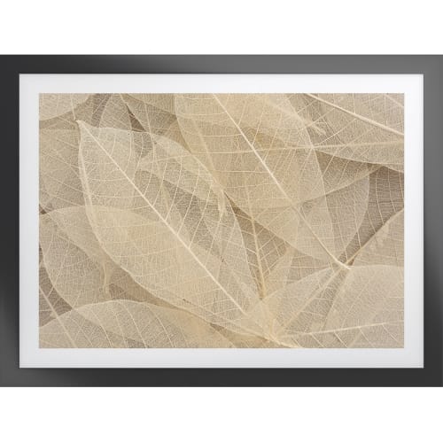 Startex, Sepia Leaf Wall Art, 24W x 18H